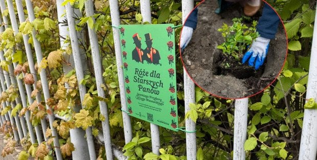 To tu powstawały piosenki Kabaretu Starszych Panów. Jeremi Przybora i Jerzy Wasowski upamiętnieni przy Myśliwieckiej
