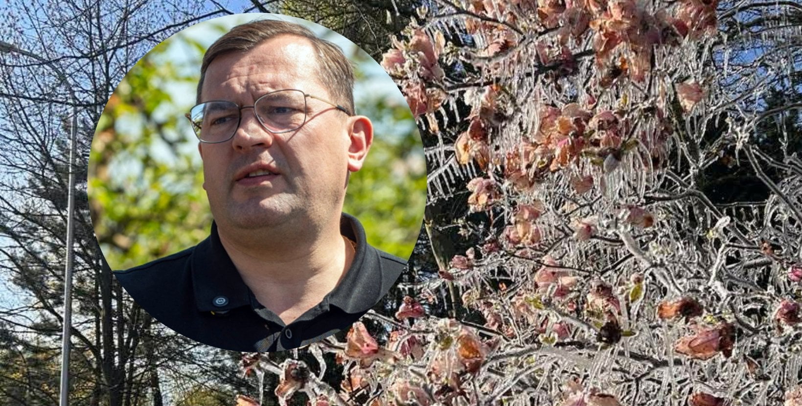 "Pieniądze są zabezpieczone". MRiRW zapowiada wsparcie dla rolników po przymrozkach