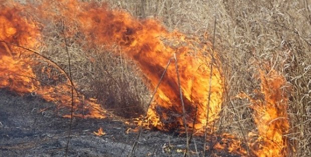 Najwyższy stopień zagrożenia pożarowego na Mazowszu. Eksperci apelują