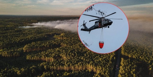 Pożar lasu na Lubelszczyźnie. Szef MSWiA podał nowe informacje