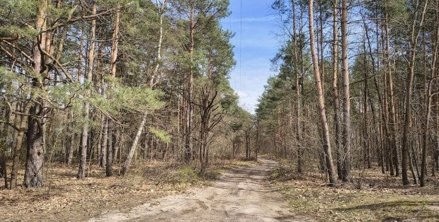 Nie chcą drogi przez park krajobrazowy. "Ostateczne decyzje ws. trasy nie zostały podjęte"