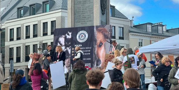"Żądamy działań tu i teraz". Protest w obronie zwierząt w 15 miastach w Polsce