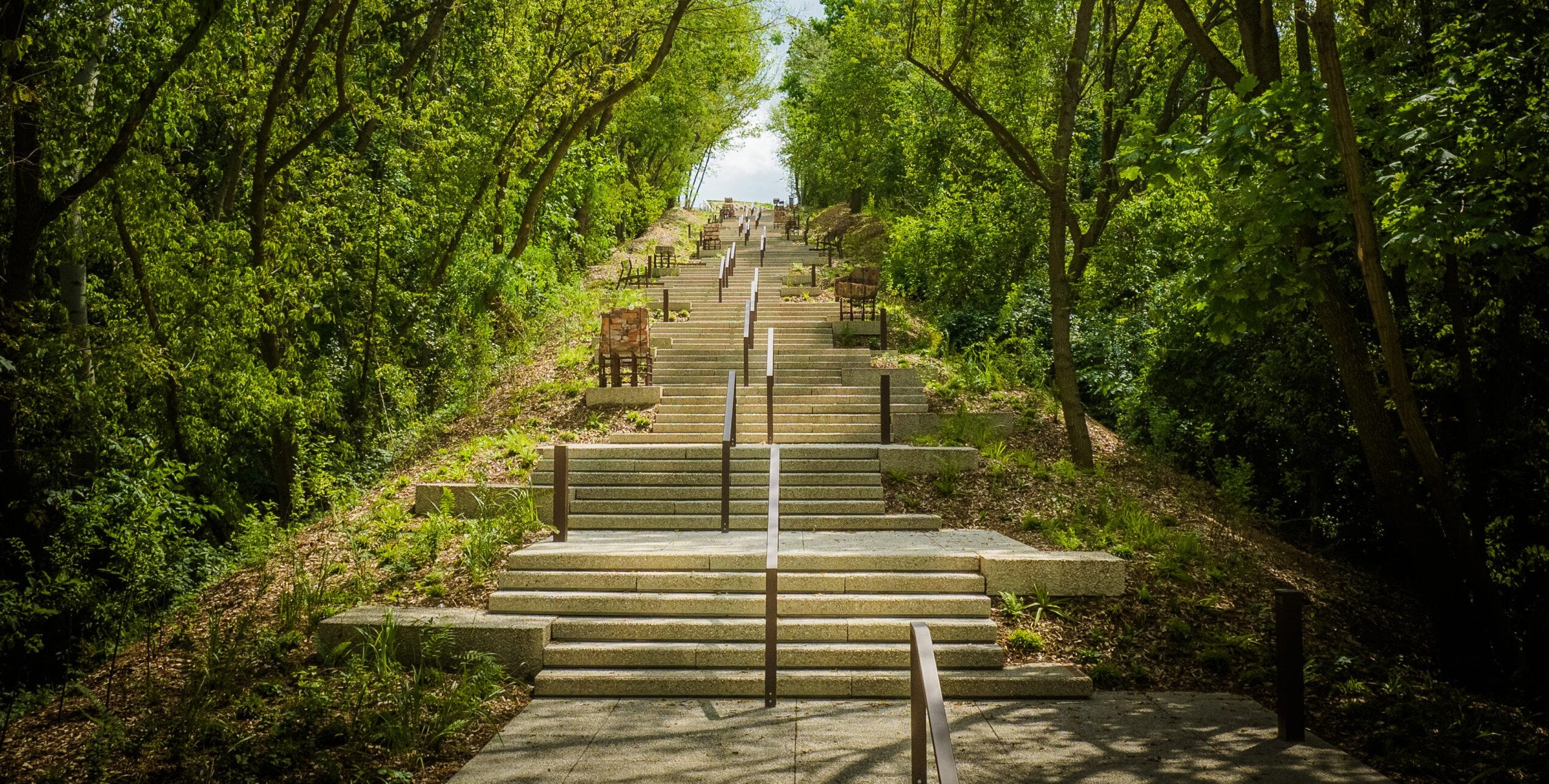 To najczęściej nagradzany park w Warszawie. Kładka wśród drzew i wyjątkowy plac zabaw