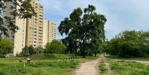 Boją się hałasu pod oknami. Protest ws. przedłużenia ulicy Rodziewiczówny