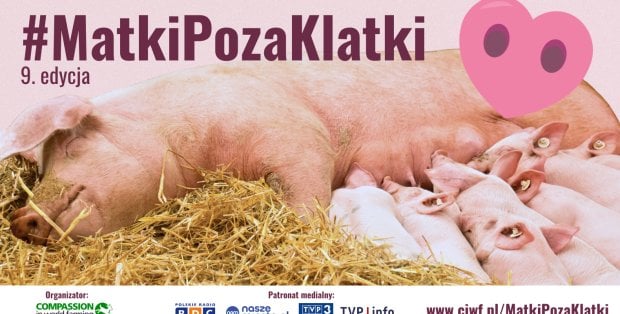 „Matki Poza Klatki”.
