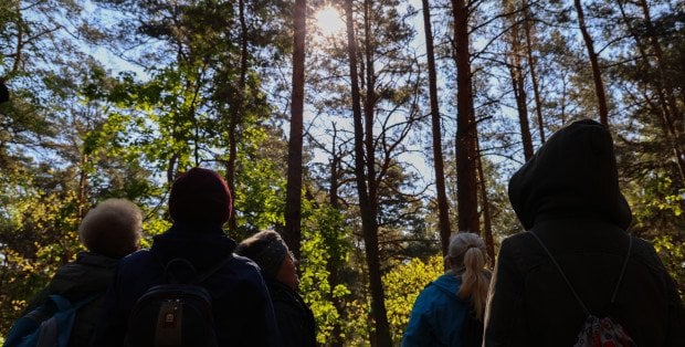 Bielański Festiwal Kampinosu. Długa lista wydarzeń