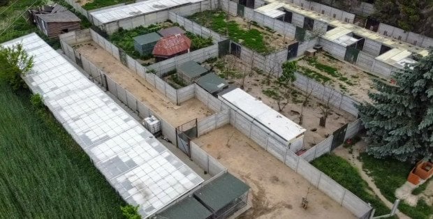 Likwidacja azylu dla zwierząt w Kuflewie. Burmistrz przeprowadził kolejną kontrolę