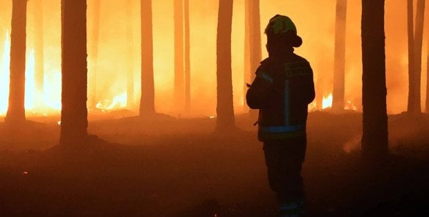 W akcji dwa dromadery i śmigłowiec Black Hawk. Płonie las w powiecie wołomińskim