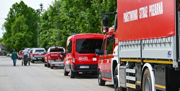 "Nie ma ryzyka rozprzestrzeniania się ognia" . Pożar w lasach koło Wołomina - opanowany!