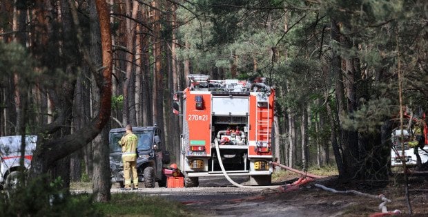 "Pożar lekko się cofa". Nowe informacje ws. akcji strażaków pod Wołominem