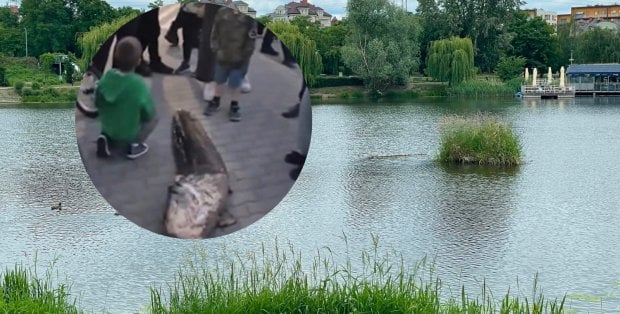 57-latek podejrzany o odłowienie suma twierdzi, iż wrzucił rybę do wody. Policja chce to sprawdzić