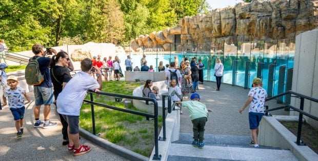 Nowy pawilon dla pingwinów otwarty. Ma wyjątkową atrakcję dla zwiedzających