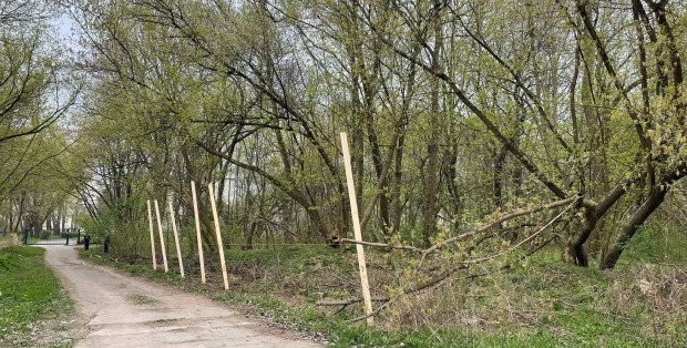 Ponad 1,8 tys. podpisów przeciw budowie przedszkola. Żoliborz chce zachować Ptasi Zakątek