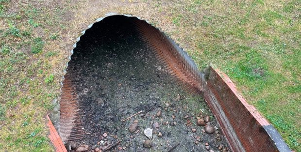 Roślinom i zwierzętom grozi wyginięcie. Mieszkańcy apelują o ratunek dla Fortu Berma