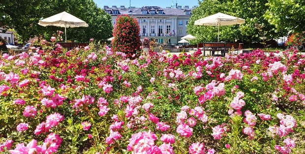 MAZOpiknik w Białobrzegach. Gwiazdą wieczoru będzie Blanka