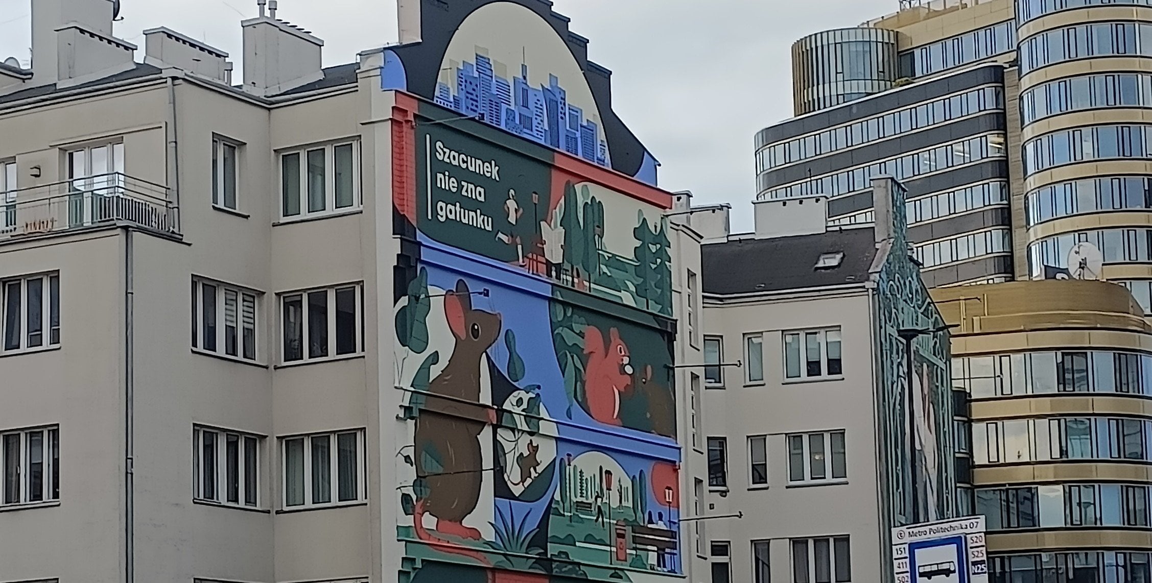 "Nieznani mieszkańcy" Warszawy. Czy miejskie szczury są niebezpieczne?