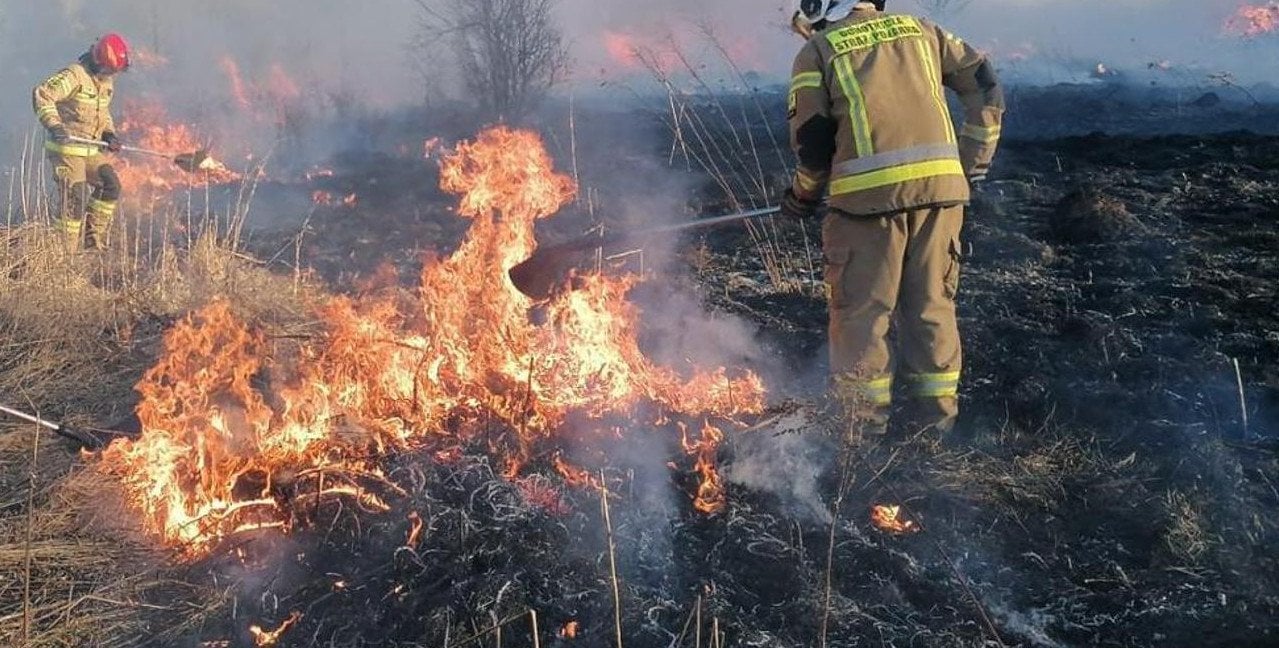 Pożar traw i nieużytków między Siedlcami a Mińskiem. Możliwe opóźnienia pociągów