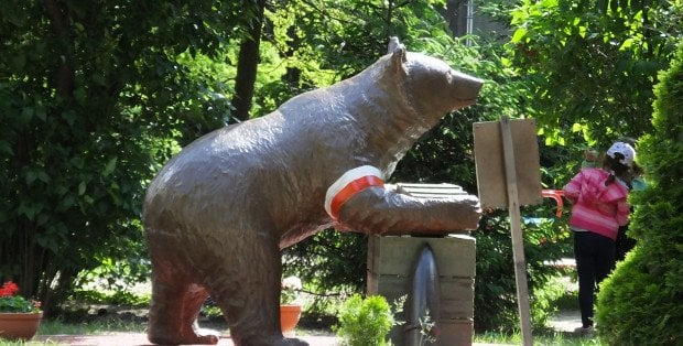 W Śródmieściu powstanie pomnik niedźwiedzia Wojtka? Radni poparli ten pomysł