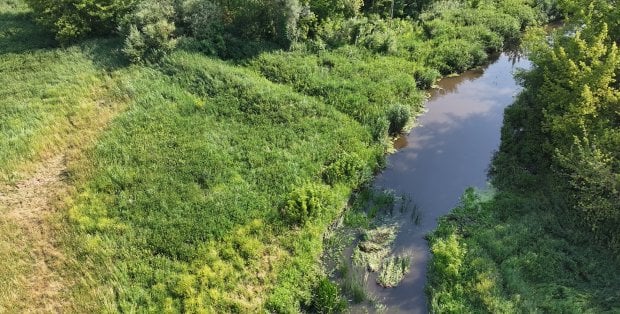 Uskarżają się na kolor i zapach Łydyni w Ciechanowie. WIOŚ ustala przyczyny zanieczyszczenia