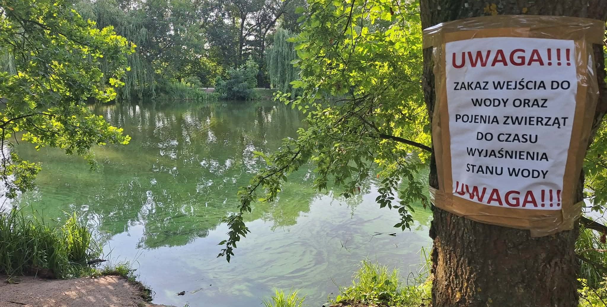Śnięte ryby wyłowione z Jeziorki. Jest apel władz Piaseczna