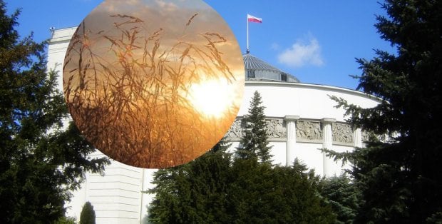 "To nie epizod, a początek trendu". Naukowcy chcą zmian w podejściu do polityki klimatycznej