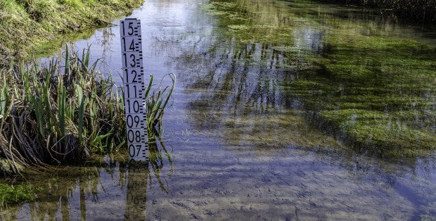 Susza hydrologiczna na Mazowszu. Deszcz poprawi sytuację? Ekspert wyjaśnia