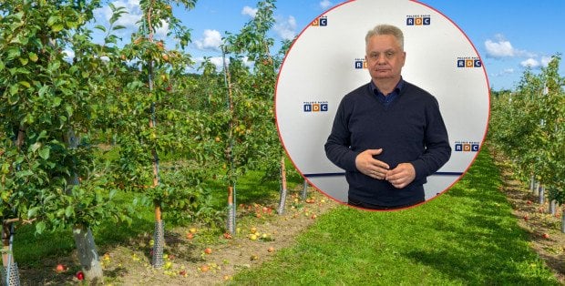 Przymrozki, susza i upały. "Nie pamiętam tak trudnego roku"
