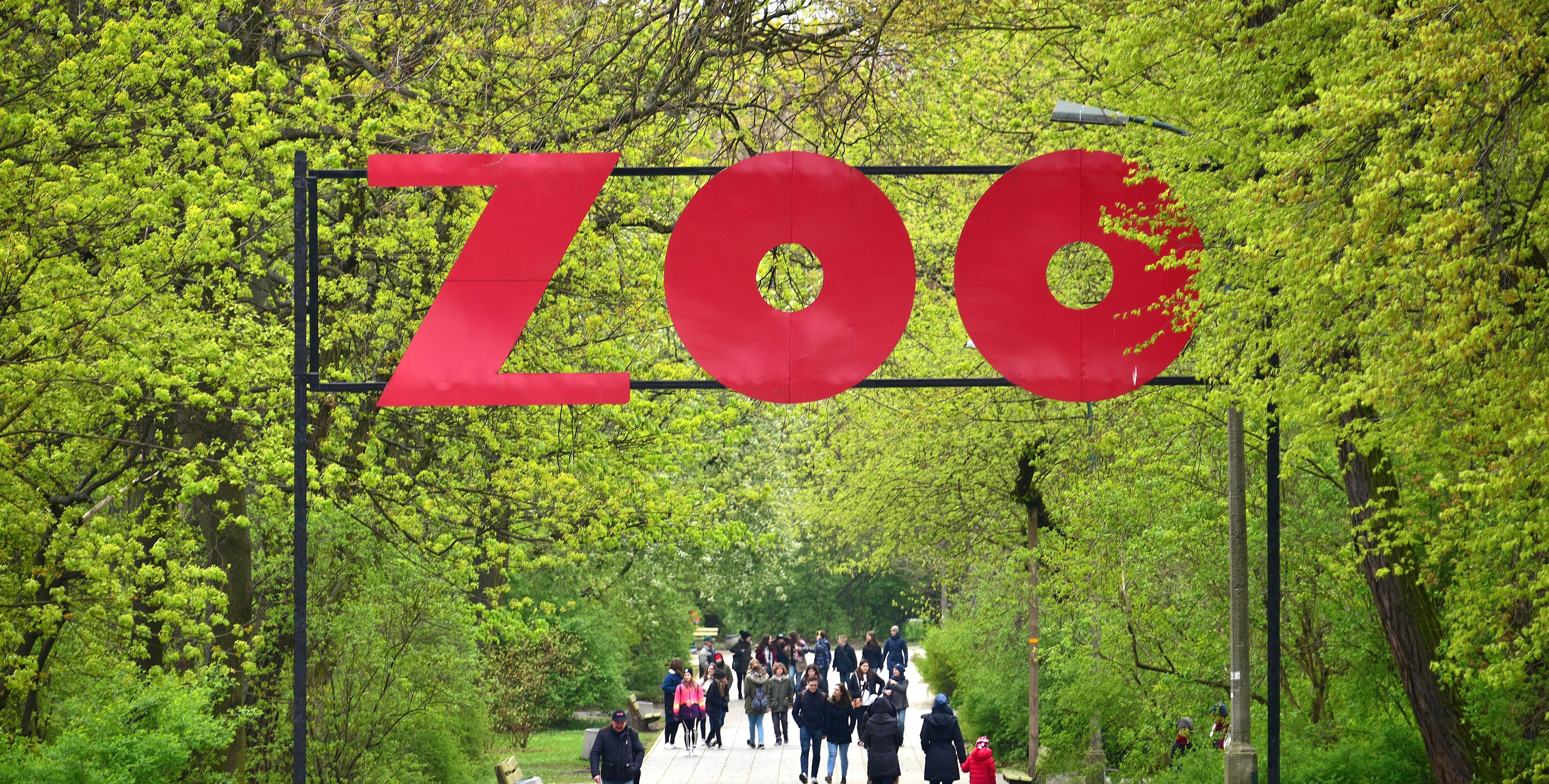 Warszawskie ZOO apeluje po oburzającym incydencie. "To nie jest niewinny żart"
