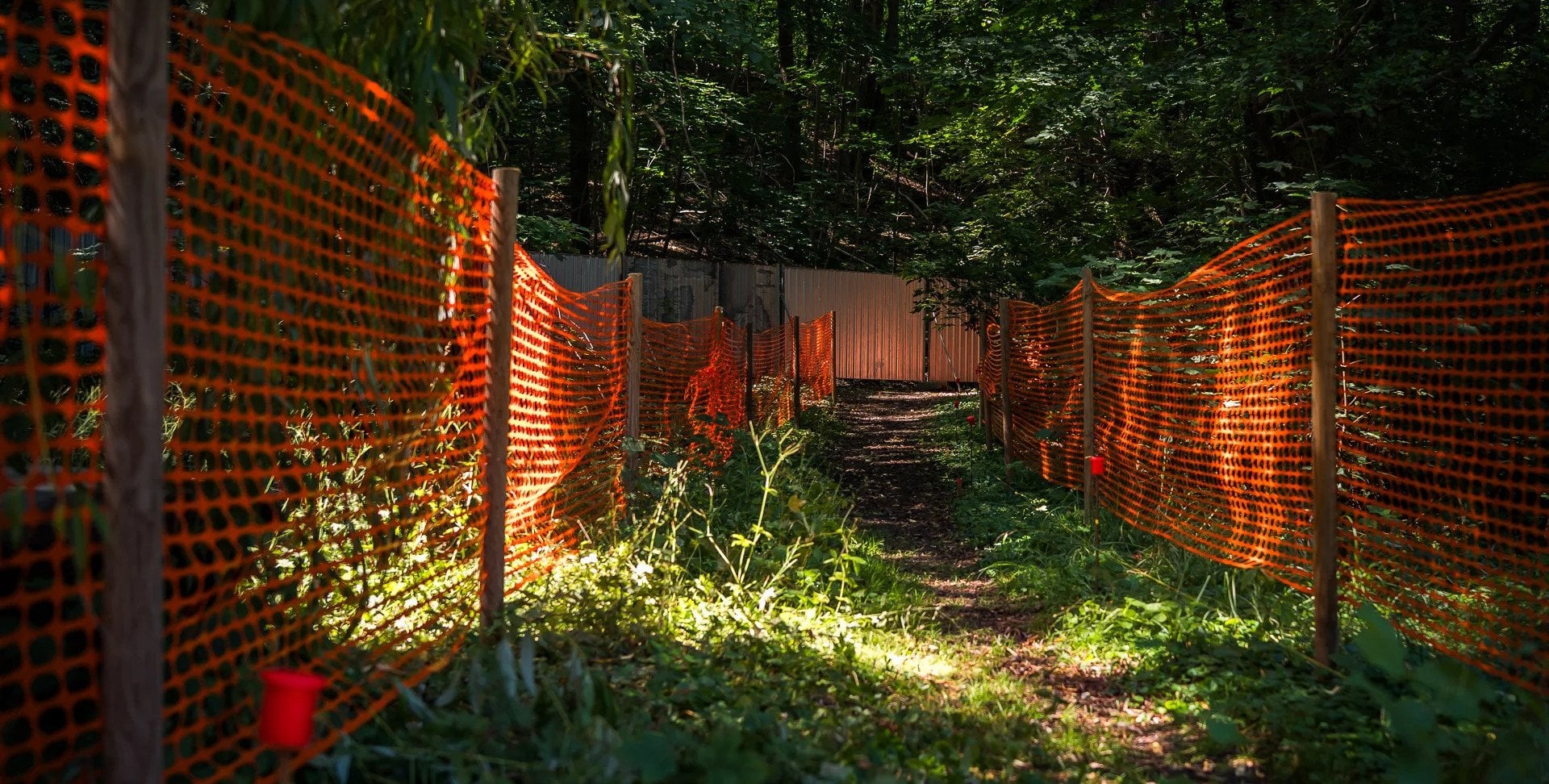 Będą nowe alejki i więcej zieleni. Ruszyła inwestycja w warszawskim parku