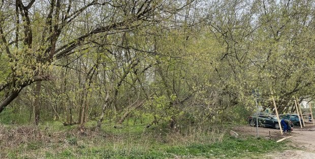Co z budową przedszkola w "Ptasim Zakątku" na Żoliborzu? "Ziemia jest skażona metalami ciężkimi"