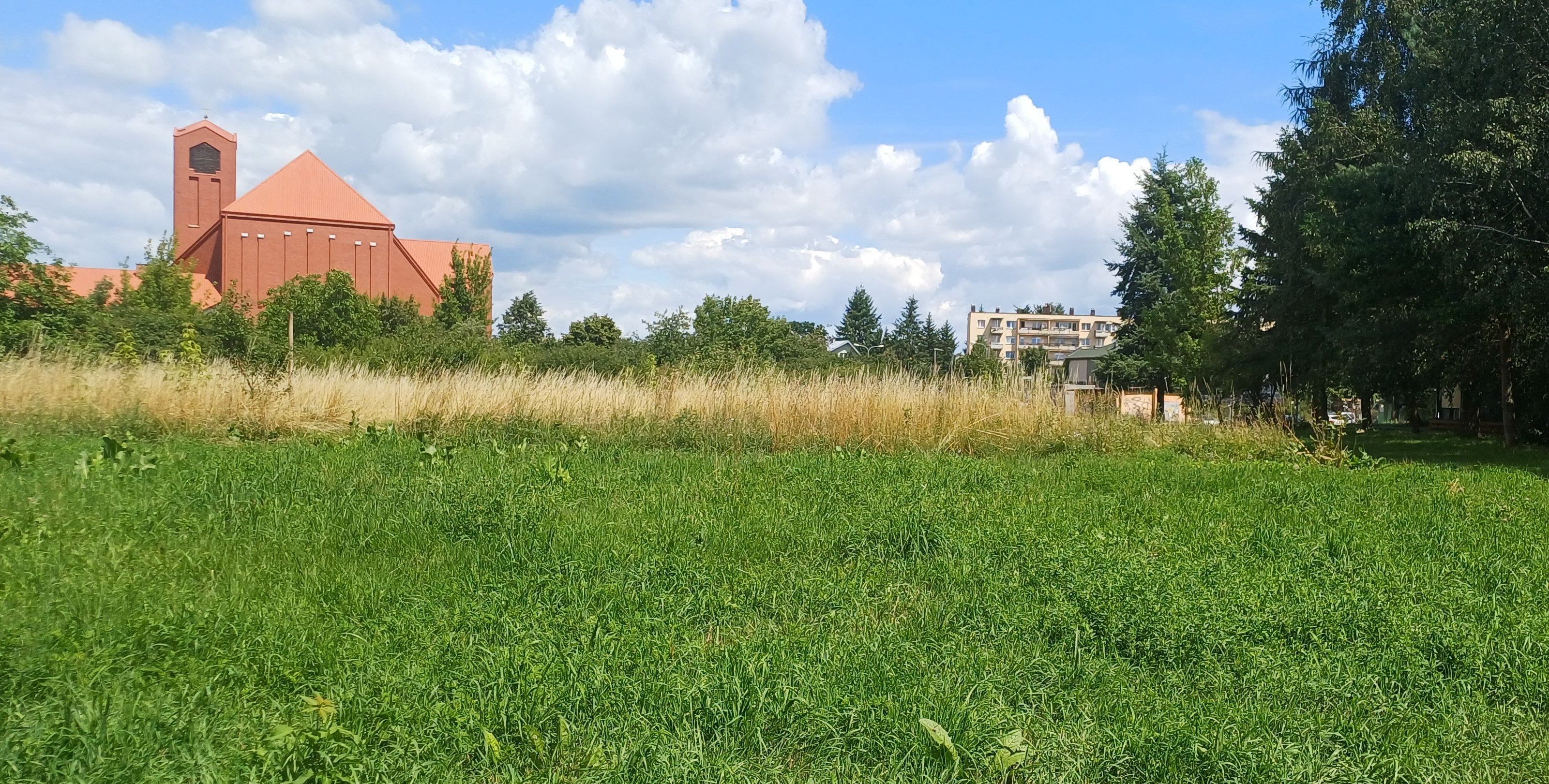 Nie będzie budowy osiedla w Siedlcach. Deweloper znów bez zgody
