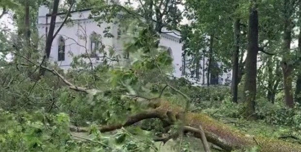 Połamane i wyrwane setki drzew. Ogromne starty po nawałnicy w zabytkowym parku w Opinogórze