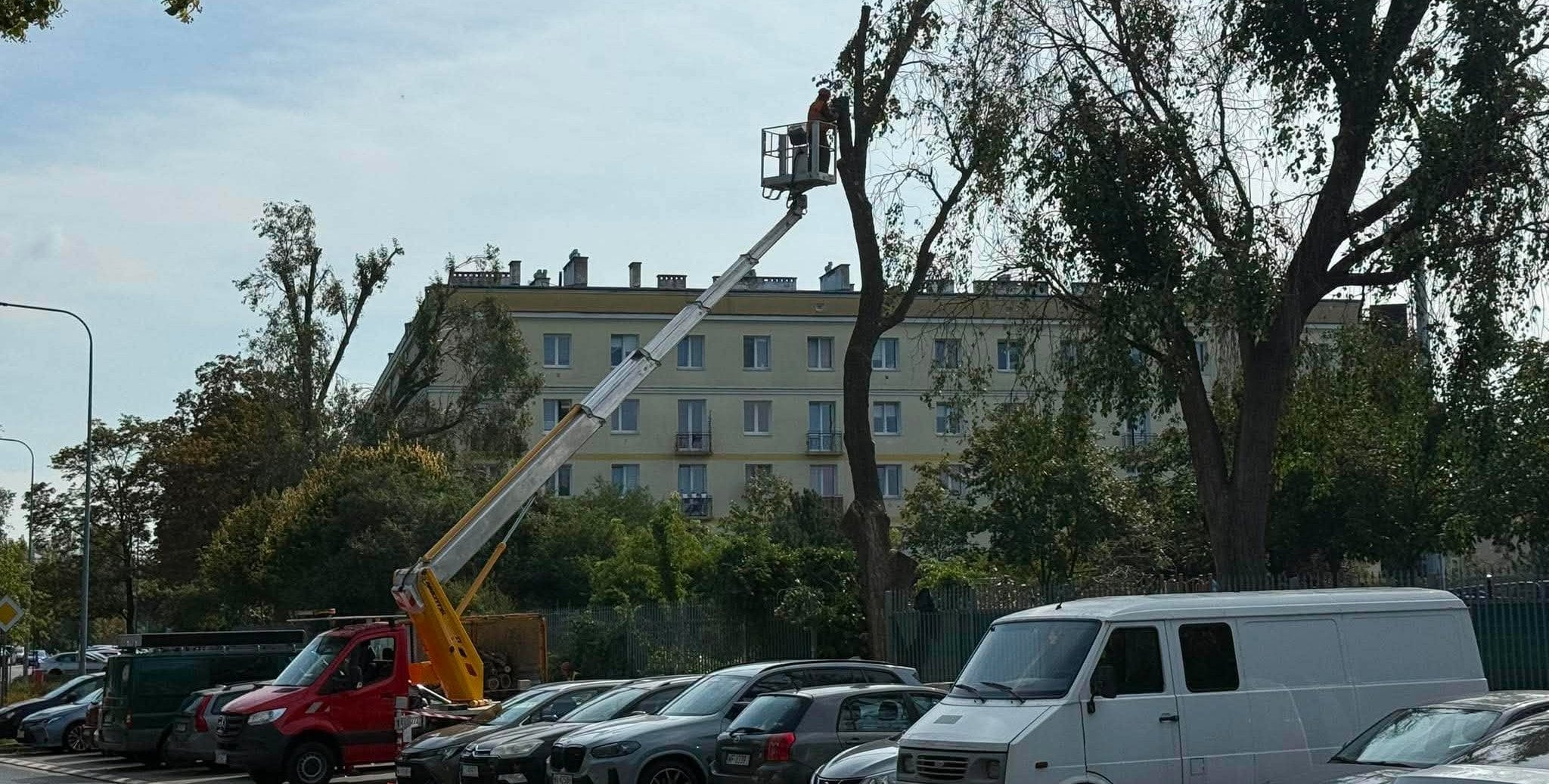 Wycinka drzew przy Stadionie Podskarbińska. Interwencja radnych