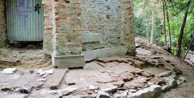 Przez dziesięciolecia było to ukryte pod ziemią. Niezwykłe odkrycia w rezerwacie przyrody w Warszawie