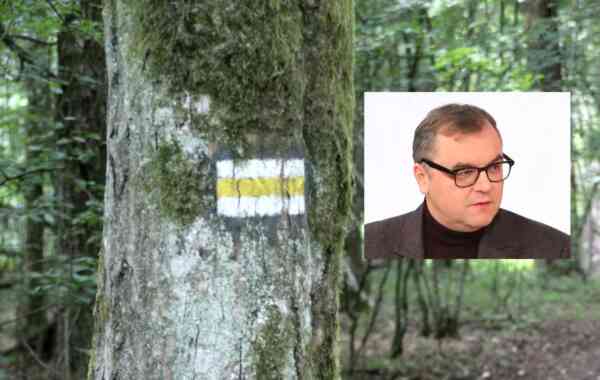 Sałek: „To jest dobicie przyrodnicze tego terenu”