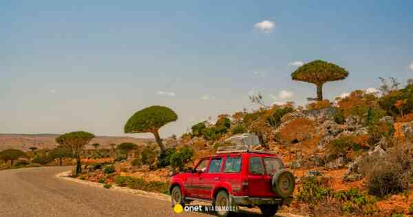 Polacy utknęli na Sokotrze, MSZ krytykuje biura podróży. „Stawianie obywateli w sytuacji zagrożenia”