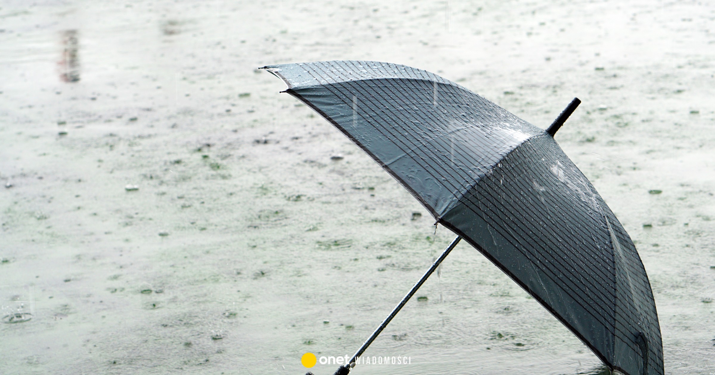 Wrocław – sprawdź prognozę pogody w dniu 20.02.2026