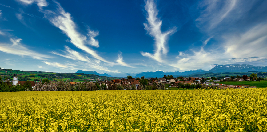 Rolnicy w coraz trudniejszej sytuacji. Niskie ceny i brak popytu