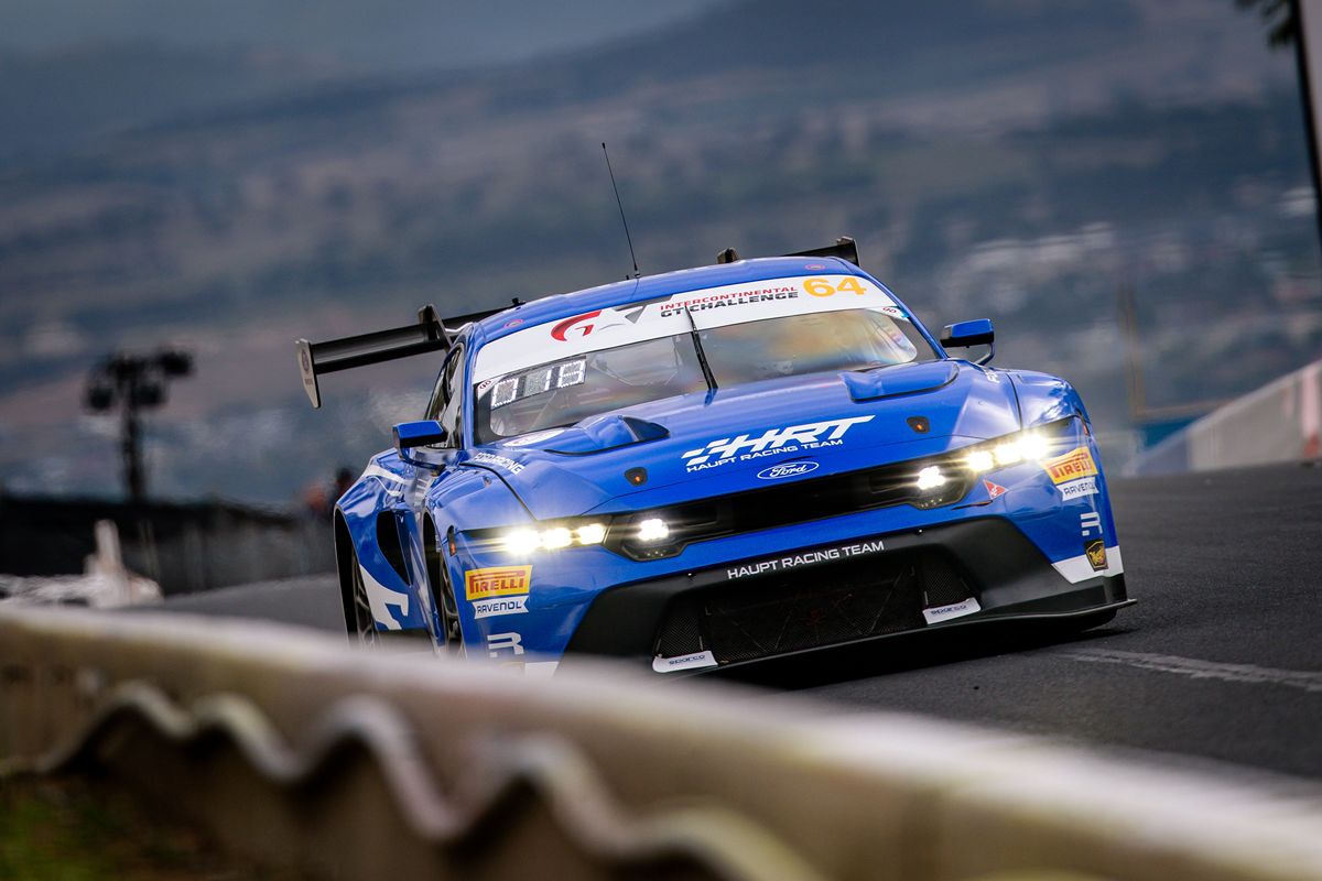 Mustang kontra kangur. Brutalny wypadek na starcie wyścigu