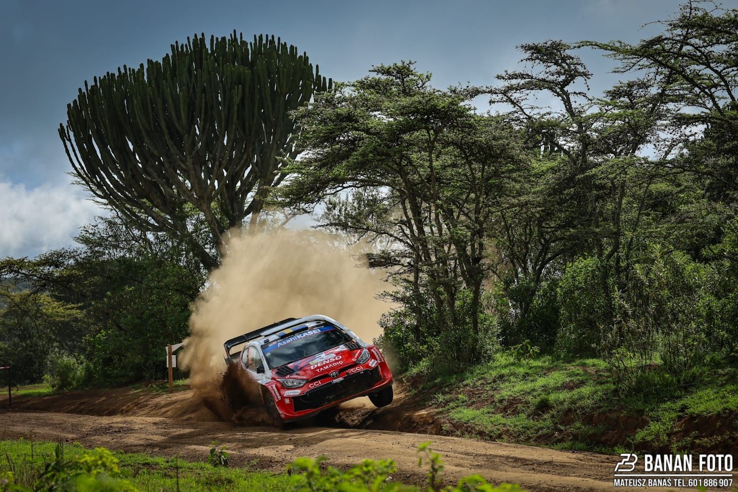 Solberg z minimalną przewagą w Rajdzie Safari