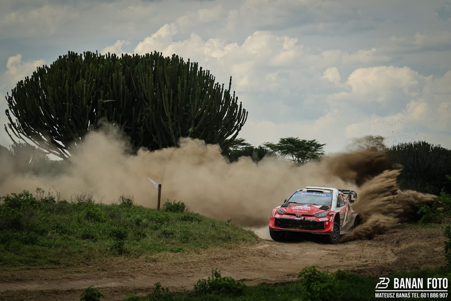 Katsuta o krok od zwycięstwa w Rajdzie Safari po dramatycznej sobocie