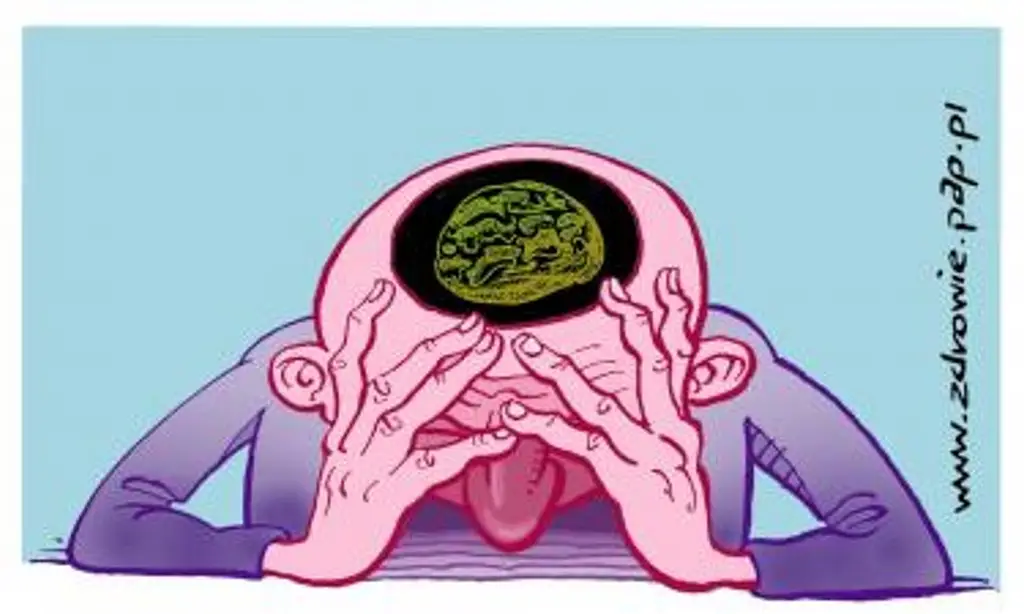 Plastyczność mózgu kluczem do terapii leczenia depresji, padaczki i uzależnień