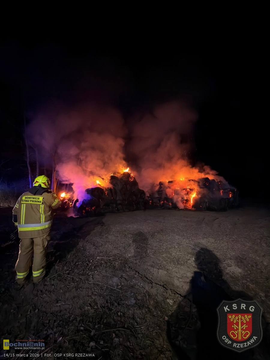 Duży pożar w Borku. Przez całą noc z ogniem walczyło ponad 50 strażaków – ZDJĘCIA