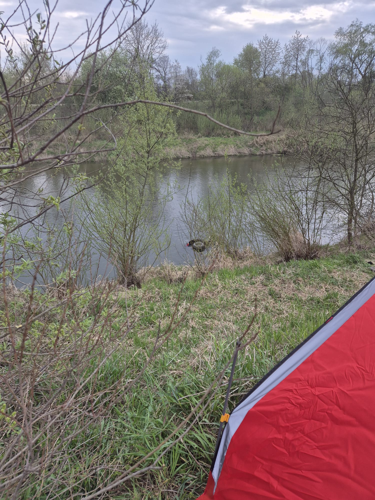 Wypadek quada w Chełmie. 22-latek trafił do szpitala śmigłowcem LPR