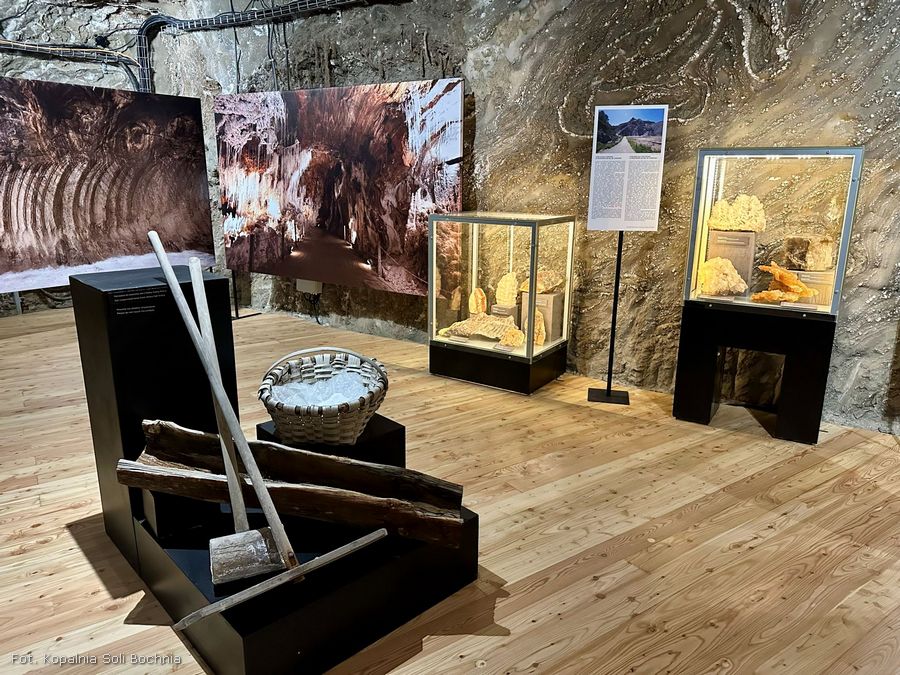 🔸 Geologia poza podręcznikiem. Wycieczka szkolna na wystawę „Piękno Soli” w Kopalni Soli Bochnia jako uzupełnienie lekcji przyrody i geografii