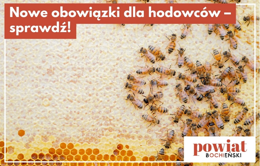 Nowe obowiązki dla właścicieli zwierząt. Trzeba zgłosić hodowlę do weterynarii
