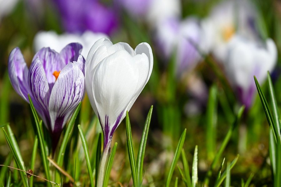 Pogoda na Wielkanoc w Małopolsce. W niedzielę choćby 20°C, w poniedziałek chłodniej