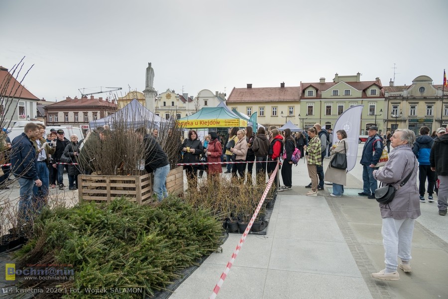 V Powiatowy Piknik Ekologiczny na Rynku w Bochni – ZDJĘCIA