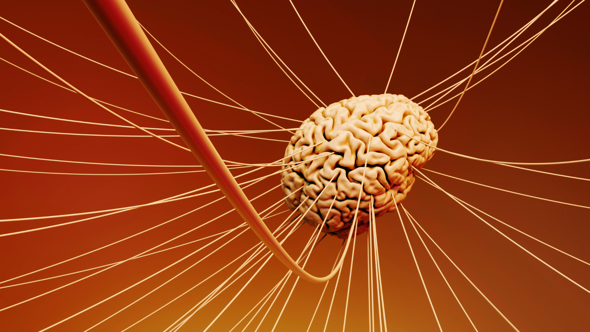 Wąskie gardło AI: Dlaczego infrastruktura sieciowa nie nadąża za algorytmami?