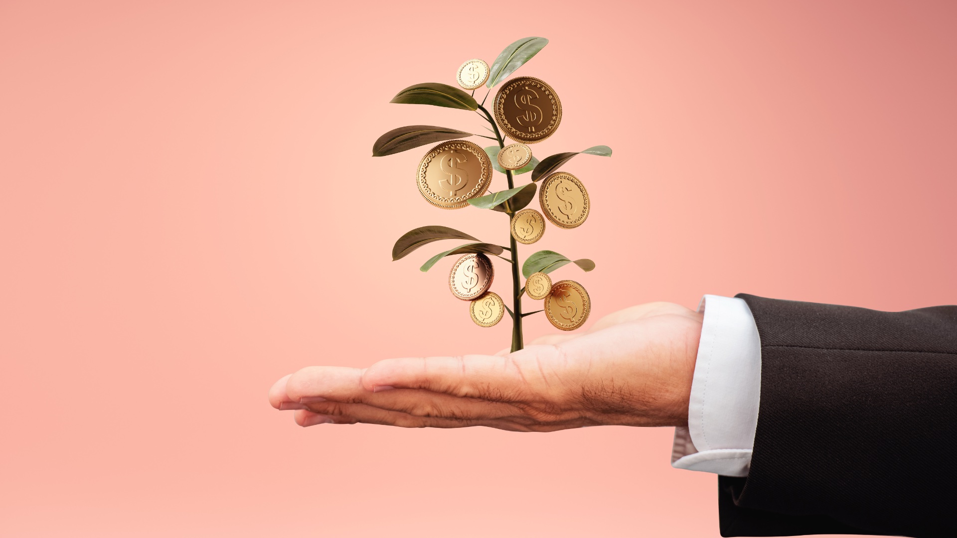 Rynek Venture Capital w 2025 roku. Spadek małych inwestycji i nowe trendy w IT